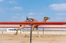 Al Ain Tour with Oasis, Forts, Mountain & more from Abu Dhabi
