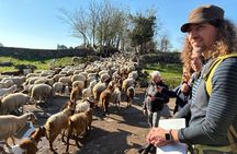 Hike Along the Ancient Appian Way