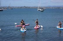 Stand Up Paddle Board Adventure in Mount Maunganui