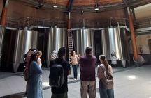 Bordeaux wine tour off the beaten path (red & white wines)
