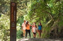 Outrigger Waka Ama Lesson & Guided Walk at Mount Maunganui