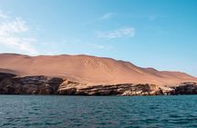 Paracas and Huacachina Day Trip from Lima