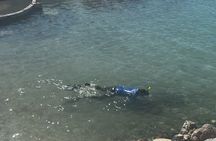 Coral Nursery Snorkeling Eco Adventure in La Paz