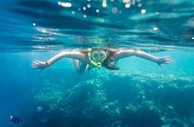 Coral Planting & Snorkeling: Hands-On Reef Nursery in La Paz