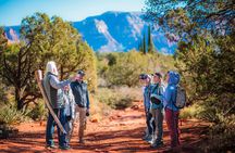 3 Hour Sedona Sightseeing Tour