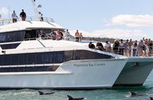 Hobart River Derwent Guided Cruise Tour