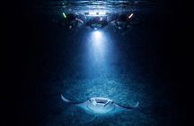 Manta Ray Night Snorkel Adventure in Kailua-Kona