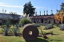 Premium Classic Tequila Experience in Cava de Oro