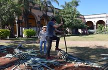 Premium Classic Tequila Experience in Cava de Oro