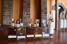 Premium Classic Tequila Experience in Cava de Oro