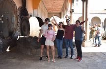 Premium Classic Tequila Experience in Cava de Oro