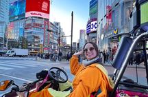 Premium Tokyo Satisfactory GoKart Tour in Shibuya to Shinjuku 