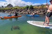 Guided Paddleboard and Kayak Tour on the Anahulu River