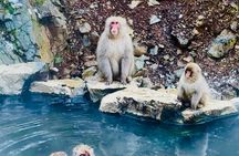 VIP Snow Monkeys Park Customized Private One Day Tour 