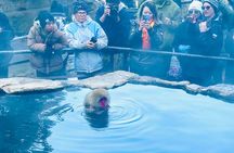 VIP Snow Monkeys Park Customized Private One Day Tour 