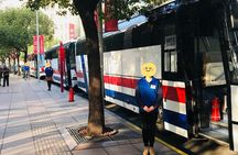 Shanghai Yu Garden, God Temple, Water Town Tour w/Hop-On Hop-Off