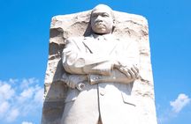 National Mall Guided Tour with Cherry Blossoms, Optional Tickets