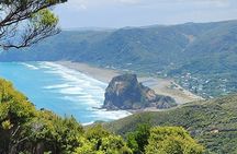 Private Auckland West Coast Tour Piha Beach and Karekare Falls 