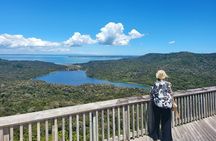 Private Auckland West Coast Tour Piha Beach and Karekare Falls 