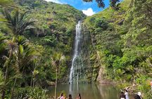 Private Auckland West Coast Tour Piha Beach and Karekare Falls 