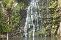 Private Auckland West Coast Tour Piha Beach and Karekare Falls 