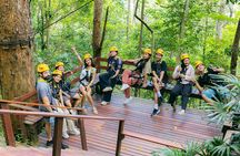 Flying Hanuman Zipline Experience Family Friendly Adventure