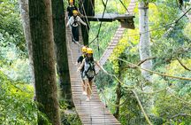 Flying Hanuman Zipline Experience Family Friendly Adventure