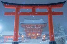  VIP Kyoto and Nara Customised Charming Private Day Tour 