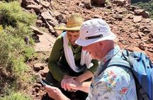 Atlas Mountains: Hiking day trip from Marrakech to Tedli Summit 