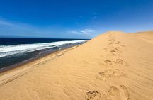 Cruise Liner Sandwich Harbour and Swakopmund City Tour