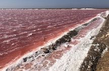 Cruise Liner Sandwich Harbour and Swakopmund City Tour