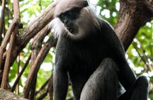 Bentota River Wildlife Boat Safari