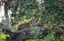 Private Wildlife Safari in Yala National Park Sri Lanka