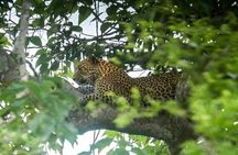Private Wildlife Safari in Yala National Park Sri Lanka