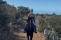 Agadir Half Day Horseback Ride