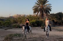 Agadir Half Day Horseback Ride