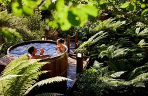 Rotorua Highlights inc Waiotapu & Hot Tubs Day Tour from Auckland