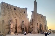 Egypt 8 Day shared tours with accommodation 