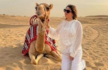 Desert Safari Red Dunes – Premium Camp with Camel Ride & Falcon