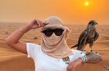 Desert Safari Red Dunes – Premium Camp with Camel Ride & Falcon