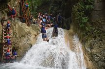 Shore Excursion: Damajagua Waterfalls & Monkeys Encounter