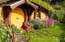 Hobbiton Movie Set Small Group Tour from Auckland