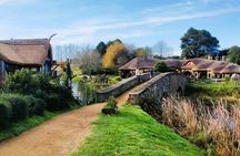 Hobbiton & Rotorua including Waiotapu Day Tour from Auckland