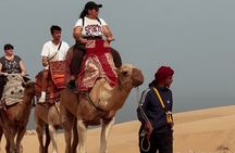 Timlalin Dunes Package: Camel Ride, Canyon Visit & Sunset Tea