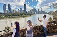 Koalas and Brisbane Private Day Tour