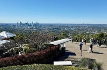 Koalas and Brisbane Private Day Tour