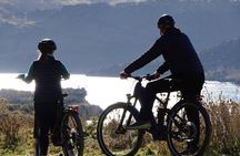 Cromwell: Explore Roxburgh Gorge by eBike & River Cruise