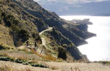 Cromwell: Explore Roxburgh Gorge by eBike & River Cruise