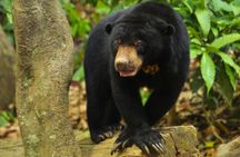 Luang Prabang Kuang Si Waterfall and Local l Craft Private Tour