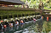 Ubud Tour - Ubud Highlight - Private Tour All inclusive